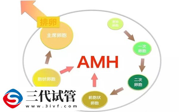 amh值0.47,做试管有没有希望(图2)