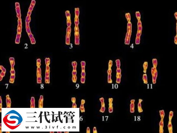 二促三移失败要不要选三代试管(图2)