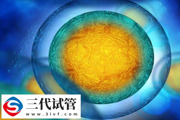 什么情况下影响胚胎着床(图1) 什么情况下影响胚胎着床(图1)