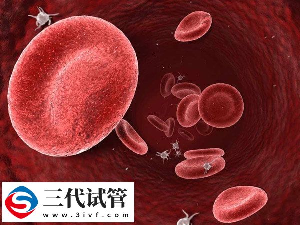 为什么医生最怕o型血孕妇生二胎?(图1) 为什么医生最怕o型血孕妇生二胎?(图1)