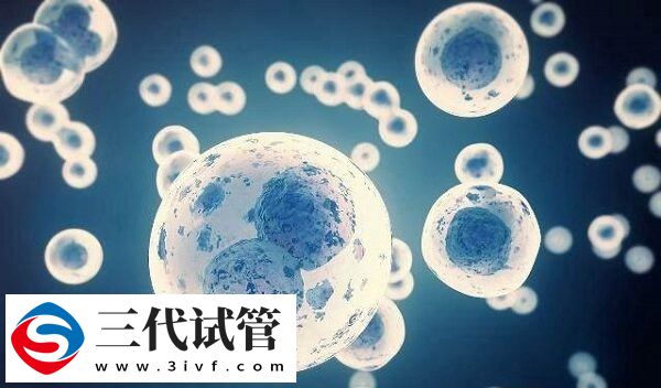 精子活力低做试管怎么办(图1)