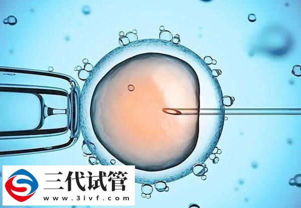 D6胚胎的质量好还是D5的好(图2) D6胚胎的质量好还是D5的好(图2)