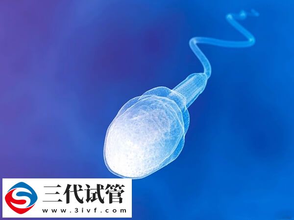 无精症可不可以做试管婴儿(图1) 无精症可不可以做试管婴儿(图1)