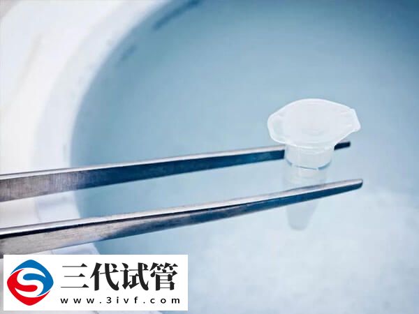 无精症可不可以做试管婴儿(图2) 无精症可不可以做试管婴儿(图2)