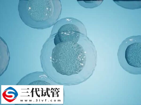 试管移植前针灸加艾灸有什么用(图2) 试管移植前针灸加艾灸有什么用(图2)