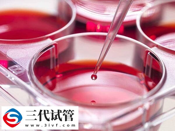 移植后如何知道胚胎着床了(图1)