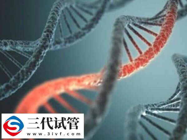 女方是dmd携带者可以做三代试管婴儿,有成功案例了吗?(图1) 女方是dmd携带者可以做三代试管婴儿,有成功案例了吗?(图1)