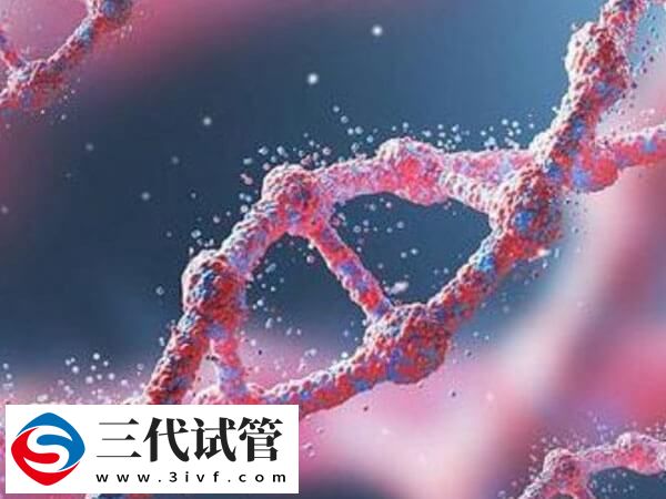 第三代试管婴儿胚胎植入前遗传学筛查是怎么进行的?(图1) 第三代试管婴儿胚胎植入前遗传学筛查是怎么进行的?(图1)