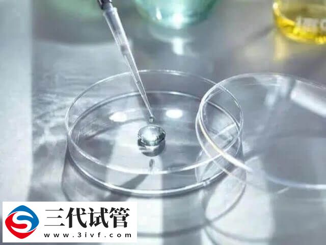 第三代试管婴儿可以移植两枚胚胎生双胞胎吗?(图1) 第三代试管婴儿可以移植两枚胚胎生双胞胎吗?(图1)