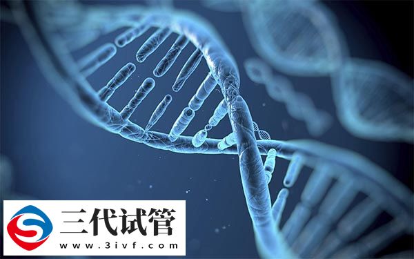 选择第三代试管婴儿会比第一代更好成功率更高吗?(图2) 选择第三代试管婴儿会比第一代更好成功率更高吗?(图2)