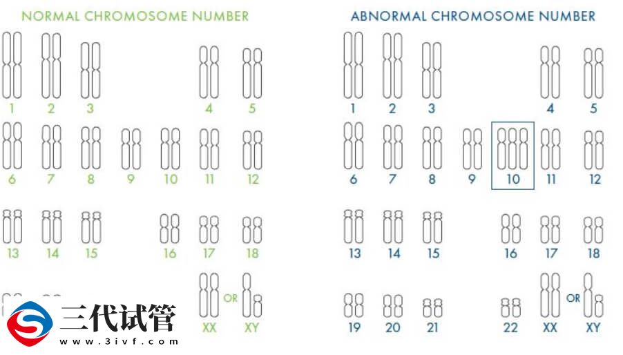试管婴儿PGT技术是能在胚胎植入前检测染色体问题吗?(图2) 试管婴儿PGT技术是能在胚胎植入前检测染色体问题吗?(图2)