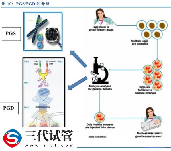 试管婴儿PGT技术是能在胚胎植入前检测染色体问题吗?(图1) 试管婴儿PGT技术是能在胚胎植入前检测染色体问题吗?(图1)