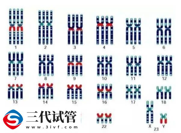 试管婴儿PGT技术是能在胚胎植入前检测染色体问题吗?(图3) 试管婴儿PGT技术是能在胚胎植入前检测染色体问题吗?(图3)