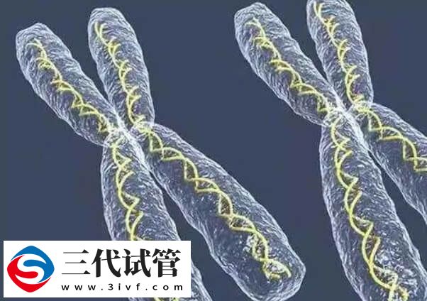 试管婴儿PGT技术是能在胚胎植入前检测染色体问题吗?(图4) 试管婴儿PGT技术是能在胚胎植入前检测染色体问题吗?(图4)