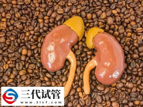 女人多囊肾做三代试管可以阻断遗传给后代吗?(图1) 女人多囊肾做三代试管可以阻断遗传给后代吗?(图1)