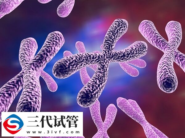 女性alport综合症做三代试管能生健康宝宝吗？(图1)