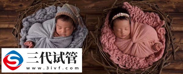 三代试管移植一个胚胎能生双胞胎吗?(图1) 三代试管移植一个胚胎能生双胞胎吗?(图1)