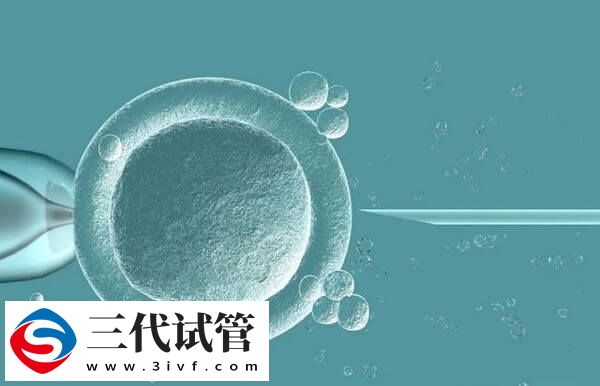 三代试管第二次怎么收费(图1) 三代试管第二次怎么收费(图1)
