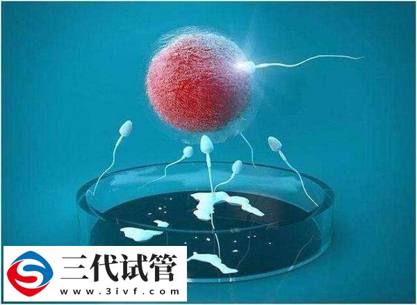 地贫做试管三代筛查胚胎需要多少钱?(图1) 地贫做试管三代筛查胚胎需要多少钱?(图1)