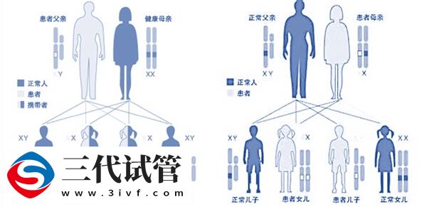 VHL综合征遗传给女儿的几率大吗？(图1)