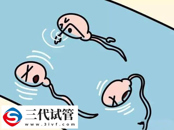 人类精子库申请供精做人工授精有哪些条件(图1) 人类精子库申请供精做人工授精有哪些条件(图1)