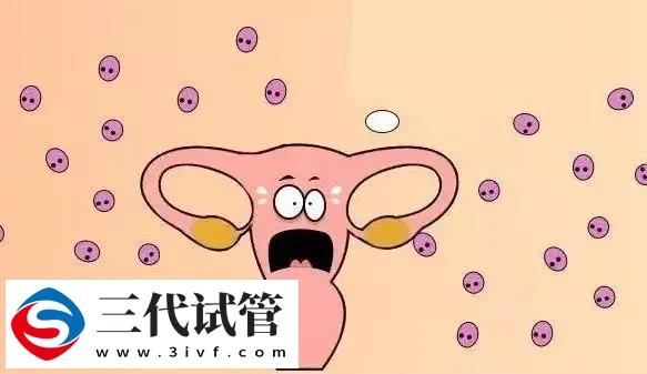 试管婴儿失败后最多能做几次,影响健康吗?(图3) 试管婴儿失败后最多能做几次,影响健康吗?(图3)