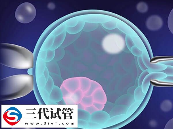 山东哪些医院可以做三代试管(图1) 山东哪些医院可以做三代试管(图1)