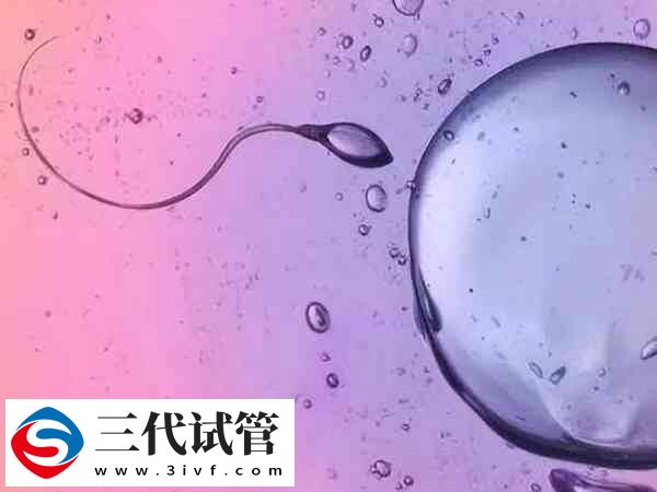 A级精子为0还有希望生育自己的孩子吗?(图1) A级精子为0还有希望生育自己的孩子吗?(图1)