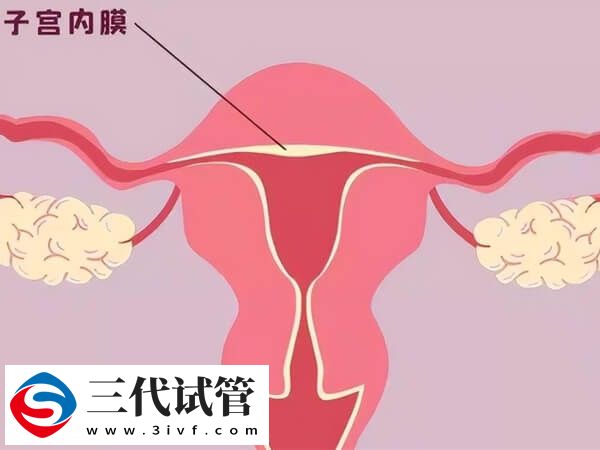 子宫内膜5mm偏薄应该选择冷冻胚胎先增厚再移植吗？(图1)