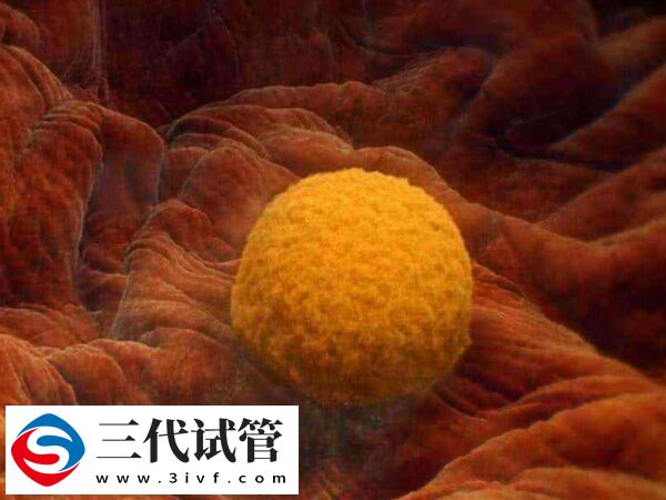 内膜14mm可以不刮宫直接移植冻胚吗?(图1) 内膜14mm可以不刮宫直接移植冻胚吗?(图1)