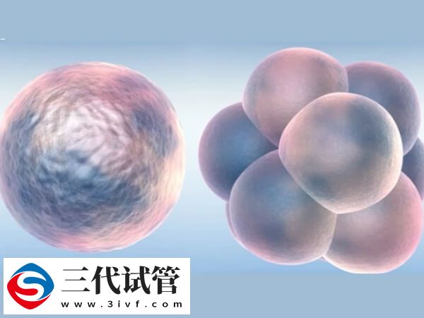 冻胚移植反复失败的原因之一是孕酮水平异常吗?(图1) 冻胚移植反复失败的原因之一是孕酮水平异常吗?(图1)