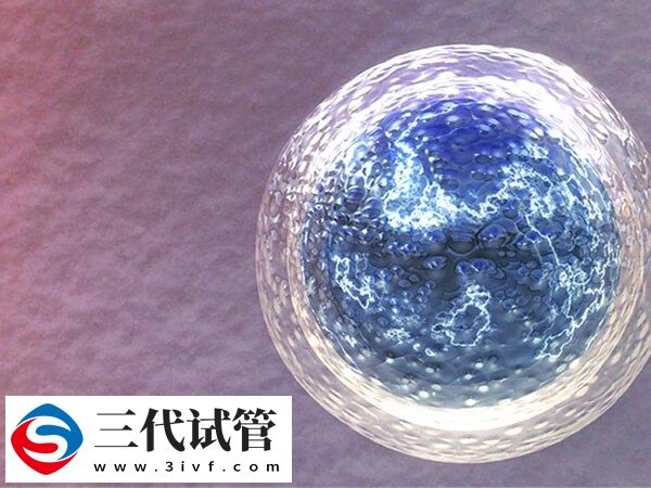 试管婴儿取卵费用大概多少(图1) 试管婴儿取卵费用大概多少(图1)