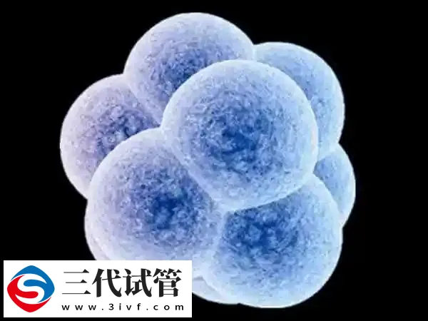 试管婴儿解冻生二胎要做哪些检查(图1)