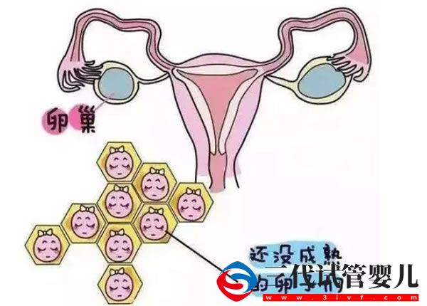 三代试管婴儿是冻囊胚还是囊胚移植(图3)
