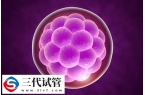 囊胚移植后流清水是不是着床了