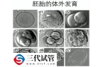 养囊第7天还能不能成功